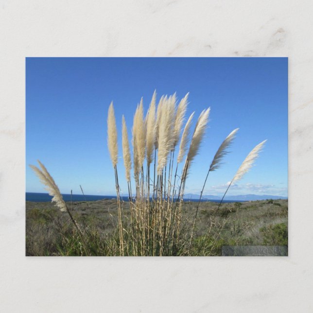 PALOS VERDES. CARTÃO POSTAL CA Nº 9 (Frente)