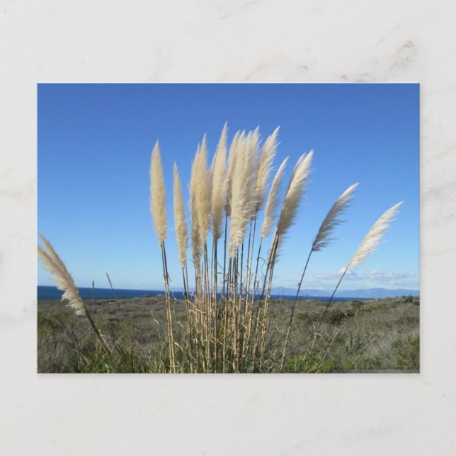 PALOS VERDES. CARTÃO POSTAL CA Nº 9 (Frente)