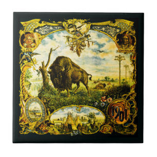 Pan Am Expo com Motivos de Bisonho e Nativos Ameri