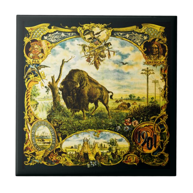 Pan Am Expo com Motivos de Bisonho e Nativos Ameri (Frente)