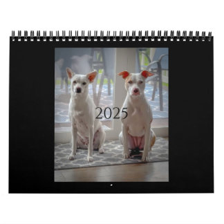 Pancake e ordenhação, calendário médio