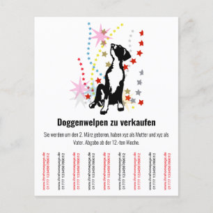 Pancinhas Flyer 