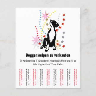 Pancinhas Flyer