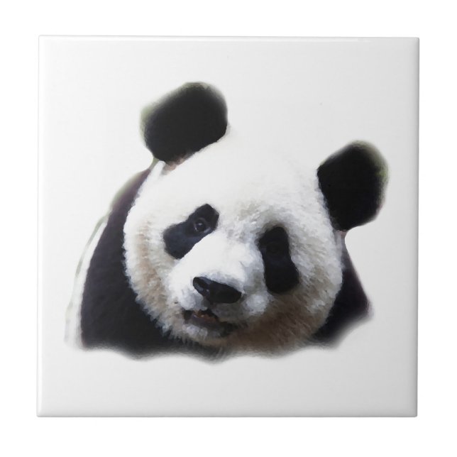 Panda (Frente)
