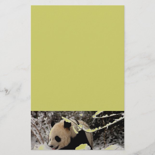 Panda Bear (Frente)