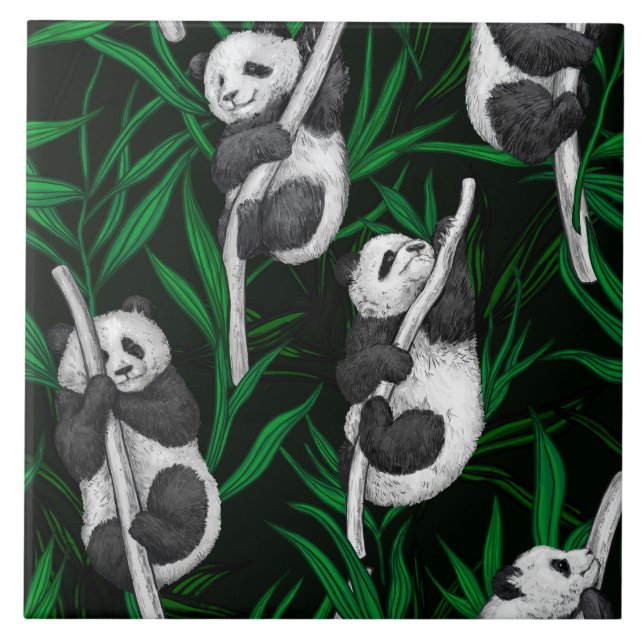 Panda cubs on dark green (Frente)