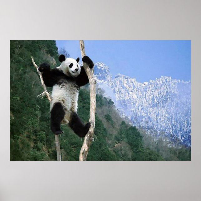 Panda em uma poster de árvore (Frente)