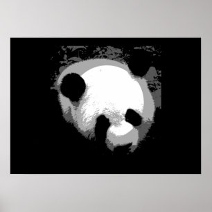 Panda Face Poster Impressão - Posters Panda