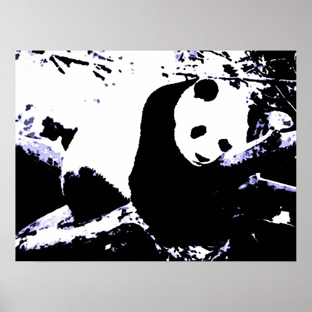 Panda Posters Prints - Panda Sleeping Poster (Frente)