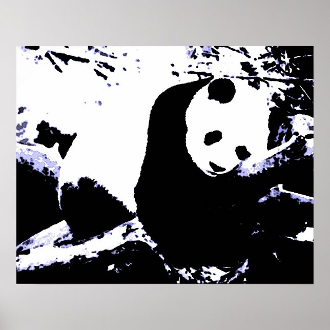 Panda Posters Prints - Panda Sleeping Poster (Frente)