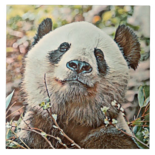 panda toony