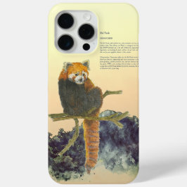 Panda Vermelha Bonita Pintada À Mão