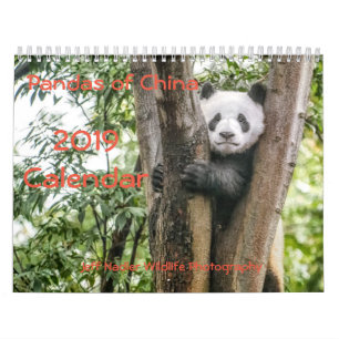 Pandas de China, calendário de parede 2019