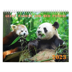 Pandas gigantes e calendário vermelho