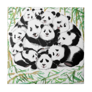 Pandas - Grandes Abraços - Bonitos - Engraçados - 