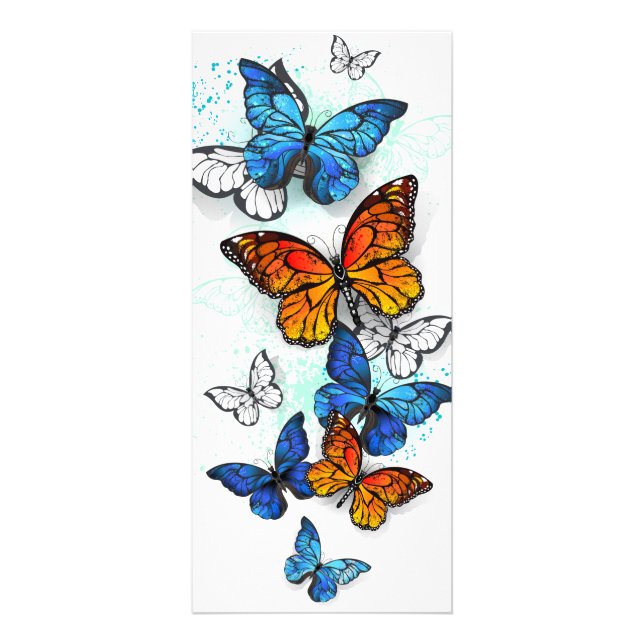 Panfleto Borboletas voadoras Morpho e Monarca (Frente)