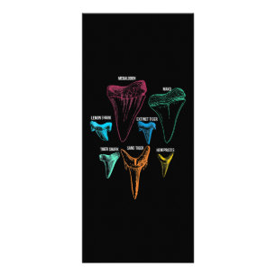 Panfleto Caça aos dentes de tubarão - Presentes de tubar