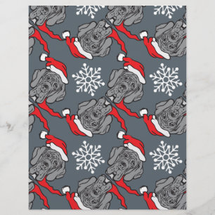 Panfleto da Loja de Natal do Cão