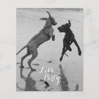 Panfleto de Aniversário de Cachorros