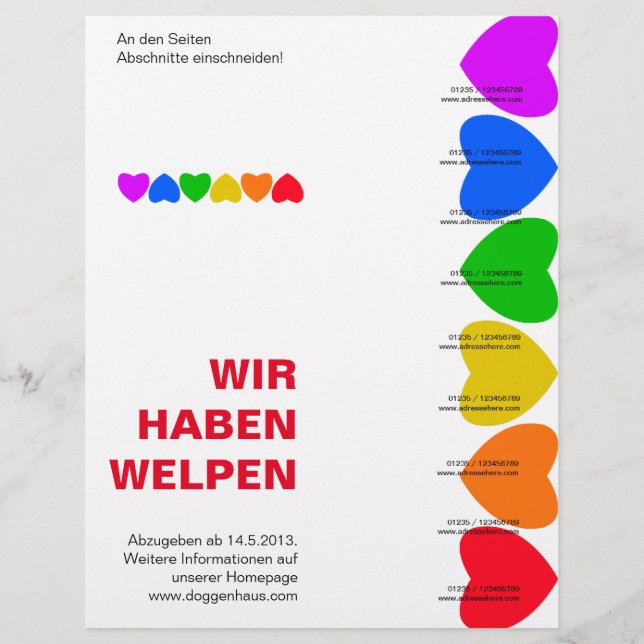 Panfleto de Corações Arco-íris da Vaidade (Frente)