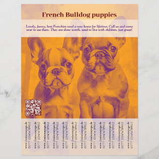 Panfleto de Filhote de Bulldog Francês