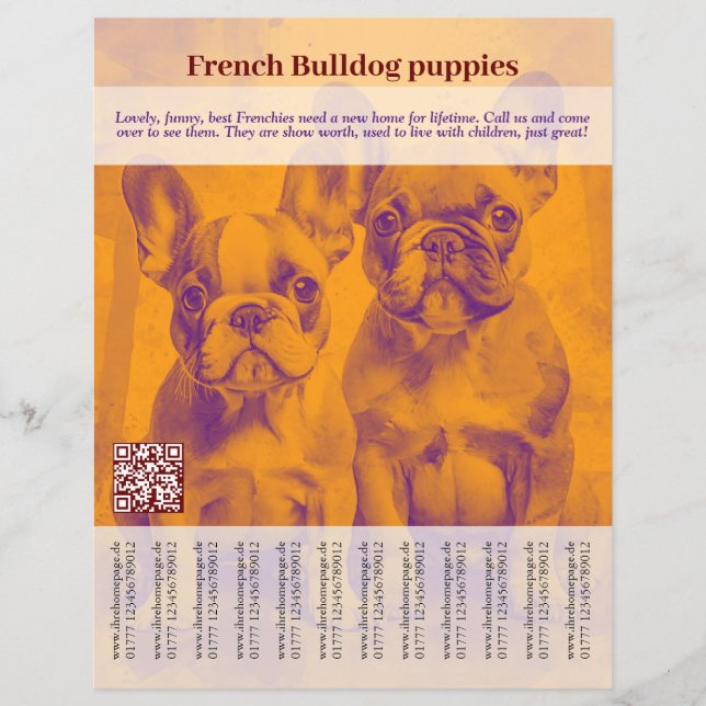 Panfleto de Filhote de Bulldog Francês (Frente)