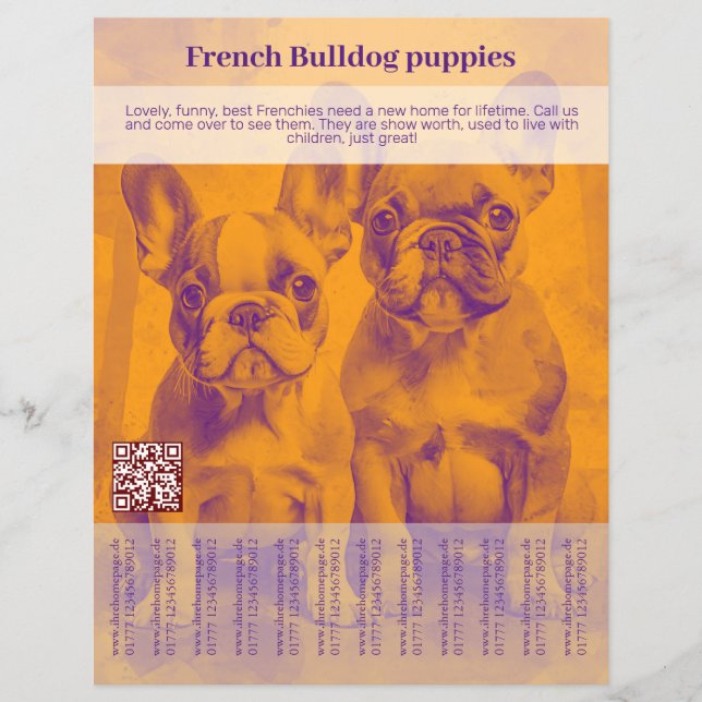 Panfleto de Filhote de Bulldog Francês  (Frente)