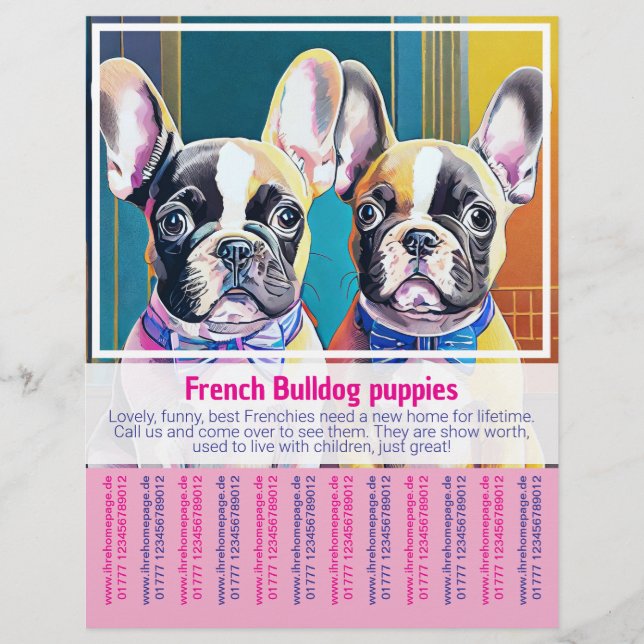 Panfleto de Filhote de Bulldog Francês (Frente)