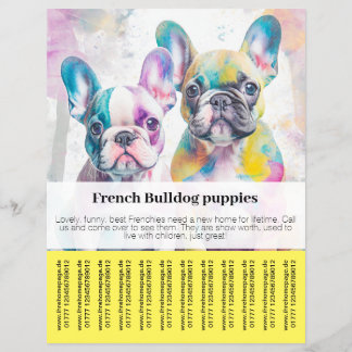 Panfleto de Filhote de Bulldog Francês