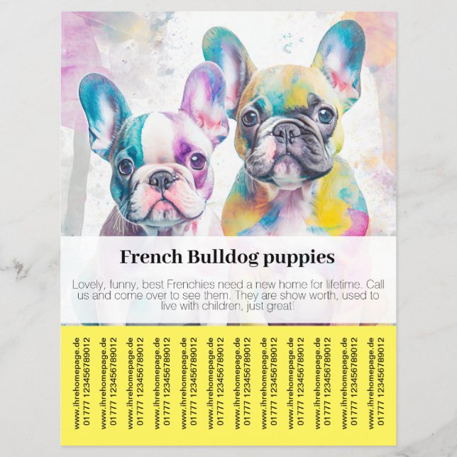 Panfleto de Filhote de Bulldog Francês  (Frente)