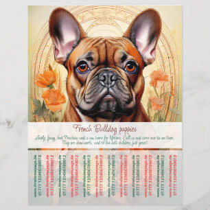 Panfleto de Filhote de Bulldog Francês 