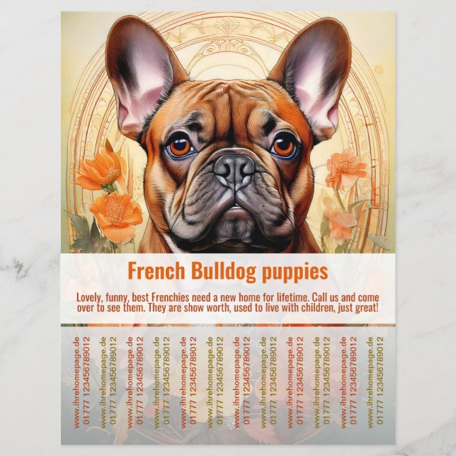 Panfleto de Filhote de Bulldog Francês  (Frente)
