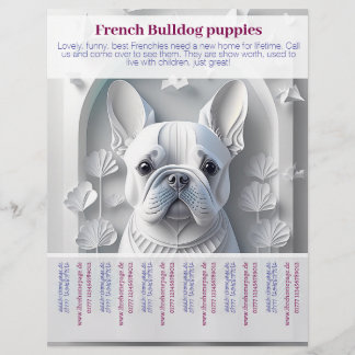 Panfleto de Filhote de Bulldogue Francês