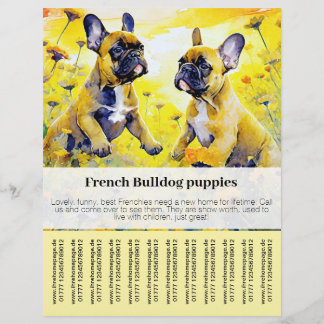 Panfleto de Filhote de Bulldogue Francês