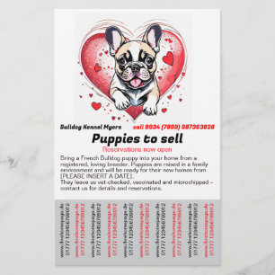 Panfleto de French Bulldog para sua casa