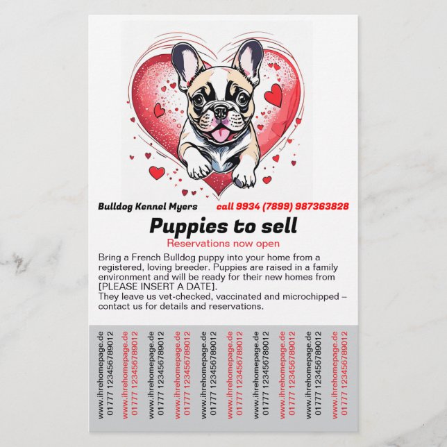 Panfleto de French Bulldog para sua casa (Frente)