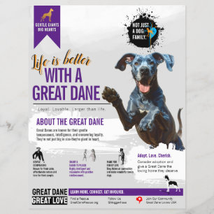 Panfleto de informações do Great Dane