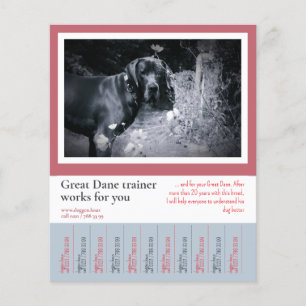 Panfleto de Treinador de Cão Grande Dinamarquês