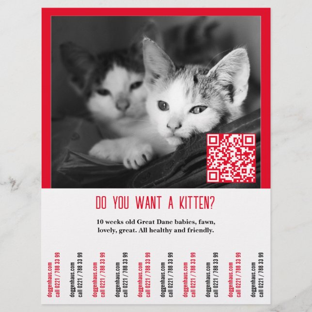 Panfleto de Venda de Gatinhos (Frente)