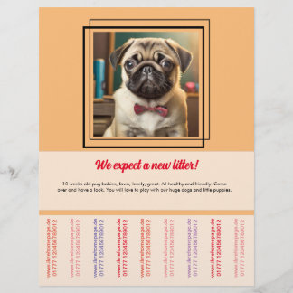 Panfleto de venda de Pug