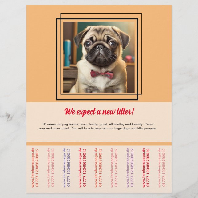 Panfleto de venda de Pug (Frente)
