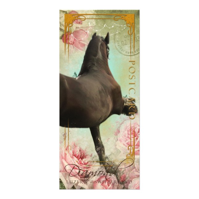 Panfleto DIAMANTE - Rackcard 3/cartão (Frente)