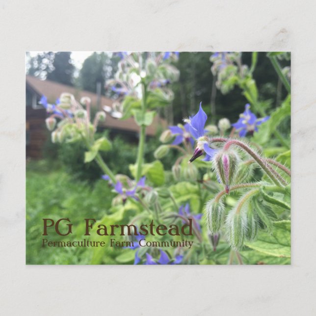 Panfleto do PG Farmstead (Frente)