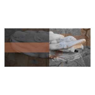 Panfleto Dragon Fountain Rack Card