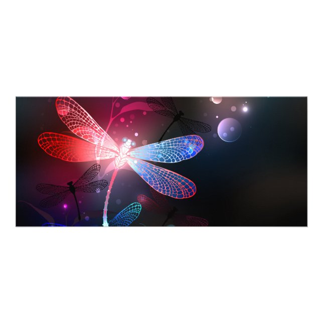 Panfleto Dragonfly vermelha (Frente)