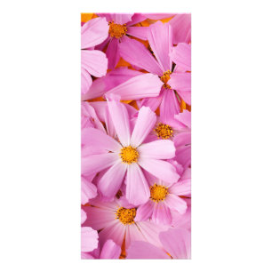 Panfleto Flores Cor-de-Rosa