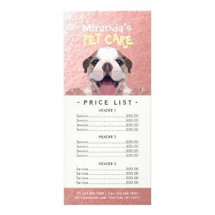 Panfleto Lista de Preços do Banho de Pet-Care para Cachorro