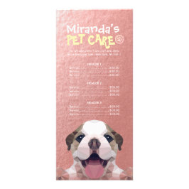 Panfleto Lista de Preços do Banho de Pet-Care para Cachorro
