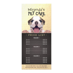 Panfleto Lista de Preços do Banho de Pet-Care para Cachorro