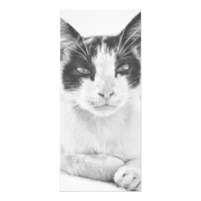 Panfleto Meio-tom Calico Vintage (Frente)